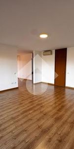 5 locali in affitto - Photo 4