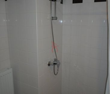 Location Appartement 1 pièce 21m² ROUEN 76100 - Photo 4