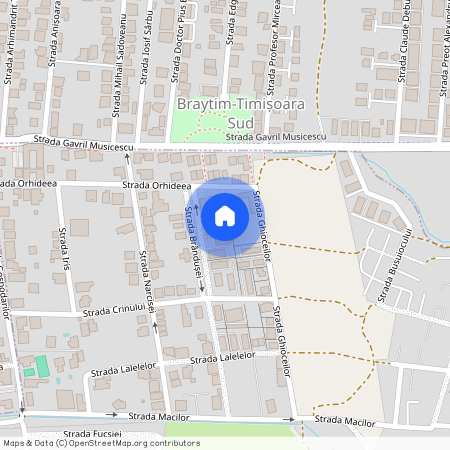 Timis, Timisoara
