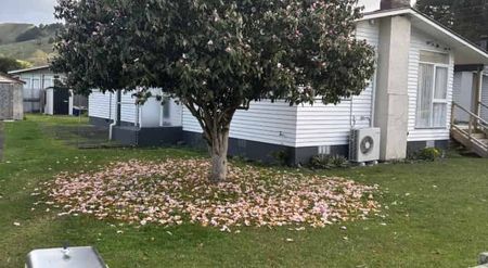 Spacious & Central Family Home - Photo 4