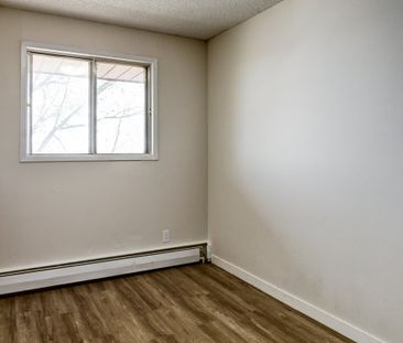 Renovated Suite - 1 Bedroom - Photo 1