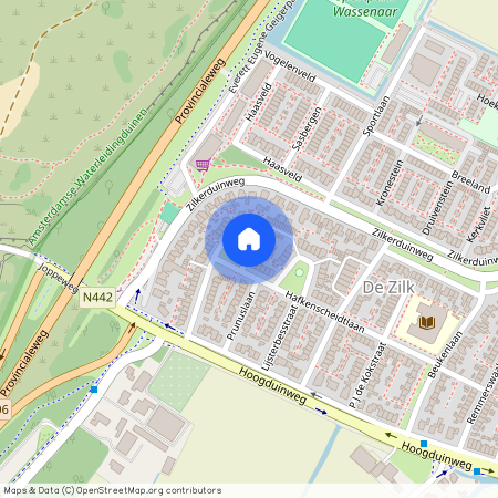 De Zilk, 2191 BR, Hafkenscheidtlaan, De Zilk