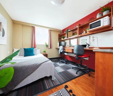 Single Studio - Photo 1