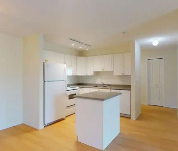 Spacious 2-bed 2-bath Condo, pet friendly w/ensuite bathroom & walk... - Photo 1