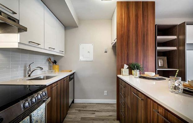 3655 Avenue Papineau, Montréal, QC - Photo 1