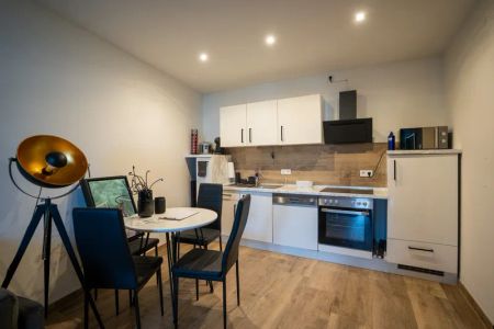 Schöne Single Wohnung nähe Volksgarten - Photo 2