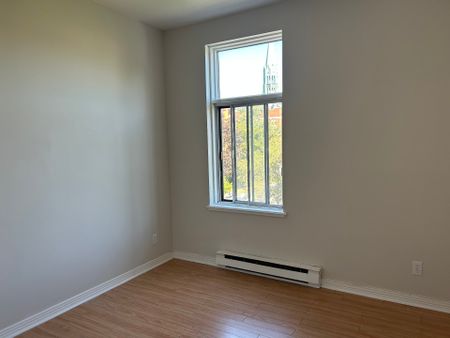 Appartement à Montréal (Rosemont/La Petite-Patrie) - Photo 4