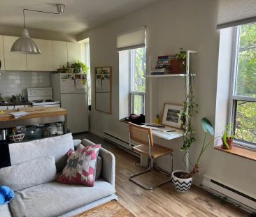 Gladstone Suites — Large Bright Sunny Bachelorette - Photo 5