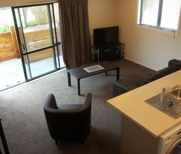 Furnished One Bedroom Apartment - Photo 6