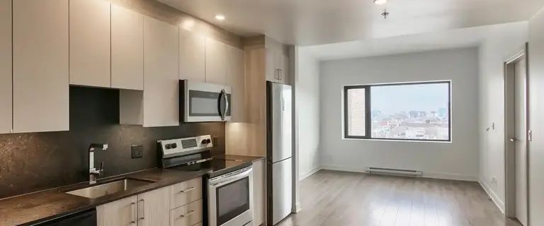 30 Saint Joseph Boulevard Est | 30 Saint-Joseph Est, Montreal - Photo 1