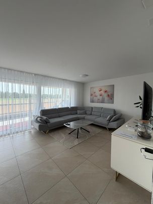 Moderne 3.5-Zimmer-Wohnung in Böttstein – Neubau 2025, sofort verfügbar - Photo 1