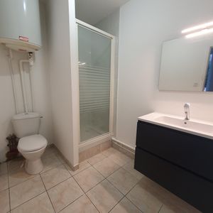 Location Appartement 1 pièce 25m² CONDRIEU 69420 - Photo 3