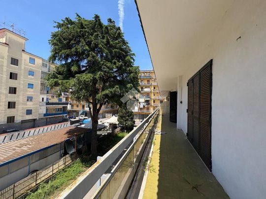 5 locali in affitto - Photo 1