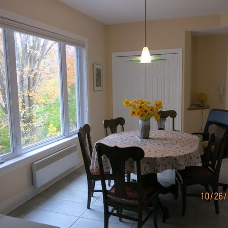 Grand 5½ dans petit immeuble tranquille - Photo 4