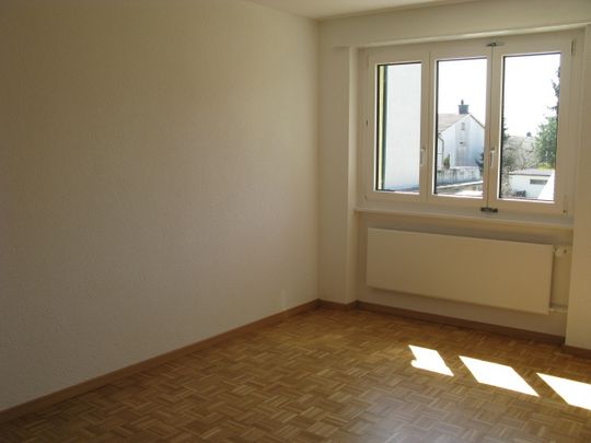 Wohnung mit grossem Balkon und eigenem ökologischen Strom - Foto 1