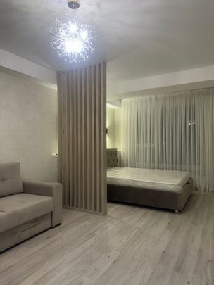 Studio de inchiriat in zona Herastrau - Fotografie 1