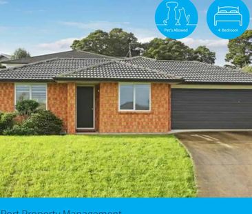 Easy Living for family & pets - Photo 2