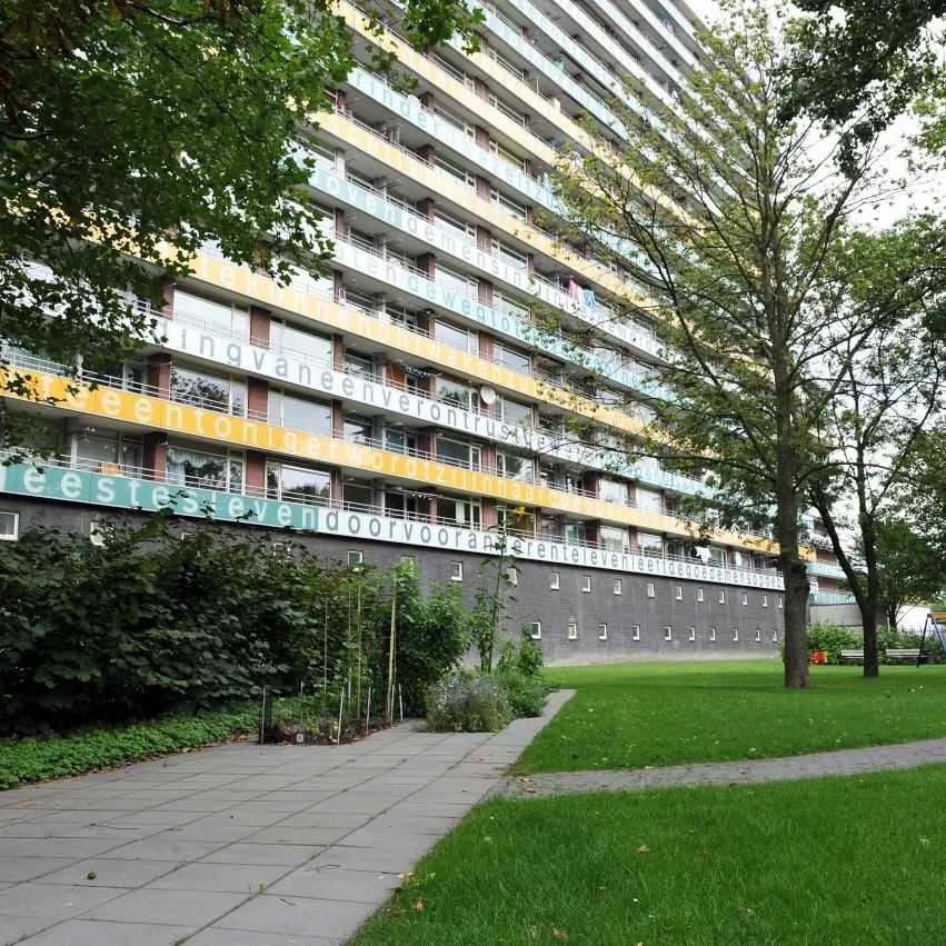 Appartement Dirk Costerplein, Delft-Voorhof - À louer - Photo 1