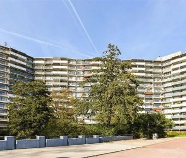 Loenermark 0ong, 1025 Amsterdam, Nederland - Photo 2