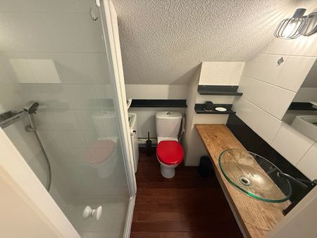 Location Appartement 1 pièce 15m² STRASBOURG 67000 - Photo 3