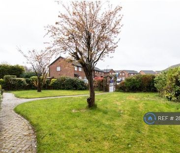 Studio to rent - Photo 3