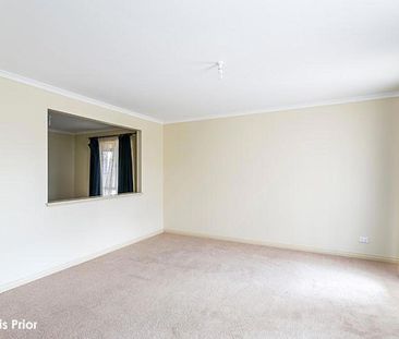 Spacious Family Home in Convenient Mitchell Park Location - Photo 3