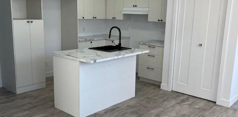 3 1/2 Bachelor très éclairé à Sainte-Agathe - Photo 2