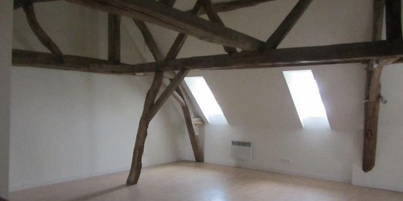 Loue appartement à Mayet (Sarthe) disponible immédiatement. Joli appartement lumineux au c... - Photo 3