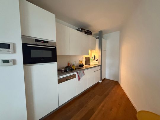 Gelijkvloers appartement nabij Park Spoor Noord - Photo 1