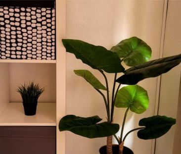 Piso de alquiler en Calle Montijo, 17, San Lorenzo - Photo 4