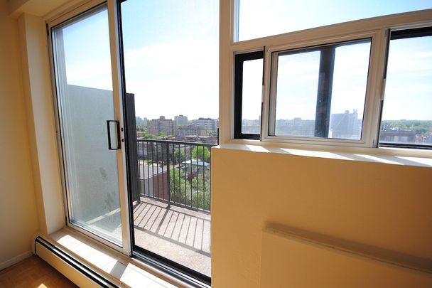 335 MacLaren Street, Ottawa - Photo 1
