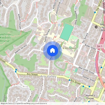 32 Devon Street, Aro Valley, Wellington City