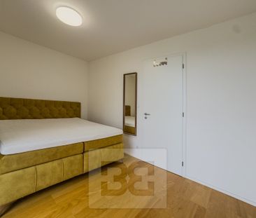 Apartment for rent, 2+kk - 1 bedroom, 52m - Photo 3