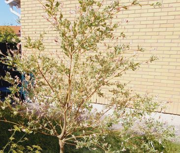 Torparegatan 2 - Foto 1