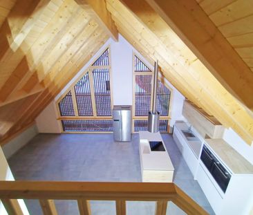 5.5 Zimmer, 203 m² - Photo 2