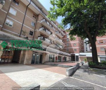 Trilocale in affitto - Photo 3