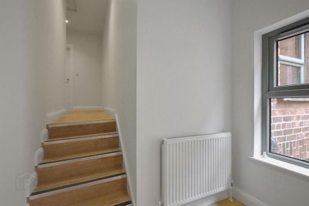 81b Botanic Avenue, Belfast, BT7 1JL - Photo 4