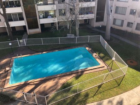 Renovated Apartment In Ultra Convenient Location - Photo 5