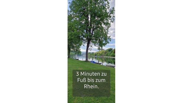 2½ Zimmer-Wohnung in Langwiesen (ZH), möbliert, auf Zeit - Photo 1