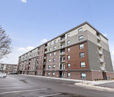 For Lease - 11870 TECUMSEH Road Unit# 208, Tecumseh, Ontario - Photo 5