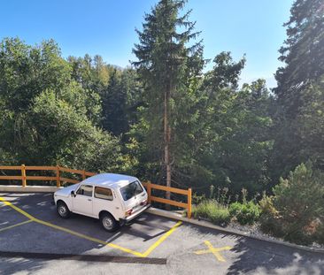 Joli 2 pces rénové, avec 1 box garage à louer à la saison (4 mois) - Foto 3