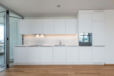 Moderne Wohnung direkt am Dreispitz - Photo 2