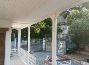 Μονοκατοικία για ενοικίαση - Μαρκόπουλο Ωρωπού, - Φωτογραφία 3
