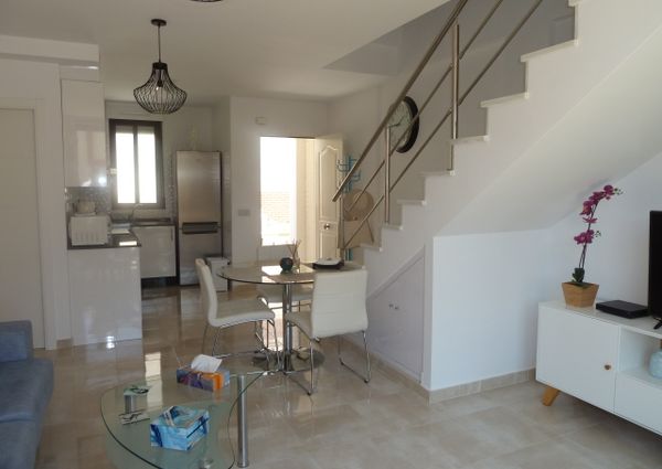 15 Sinergia World II – Id. 428