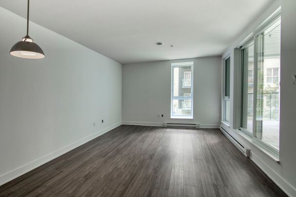 9675 Av. Papineau - Photo 1