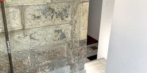 Downtown - Superb 3 1/2 Furnished - Photo 3