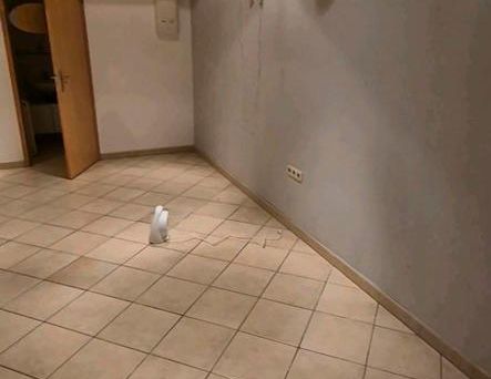 1 zimmer wohnung in Offenbach bieber zu vermieten - Photo 1