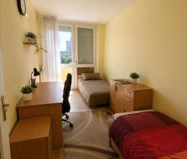 Kiadó lakás - Pécs - Fotó 5