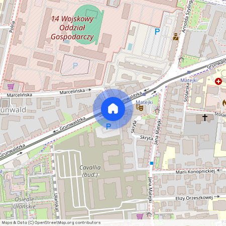 ul. Grunwaldzka, Grunwald, Grunwald, Poznań, wielkopolskie