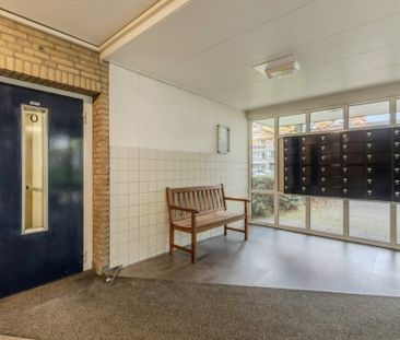 Te huur: Appartement Hertogenlaan in Oosterhout - Photo 2